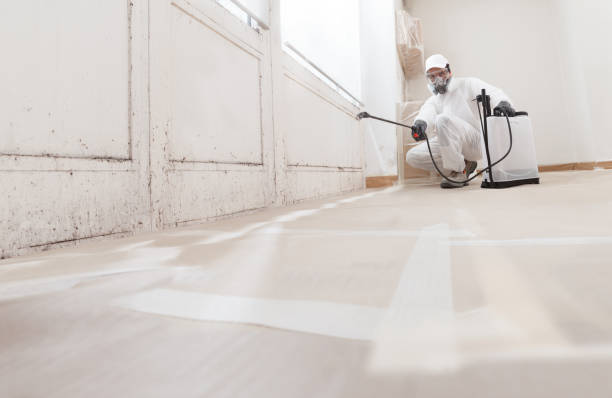 24/7 Emergency Bathroom Mold Removal experts in Hanover, PA